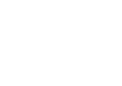 Pixel Boss